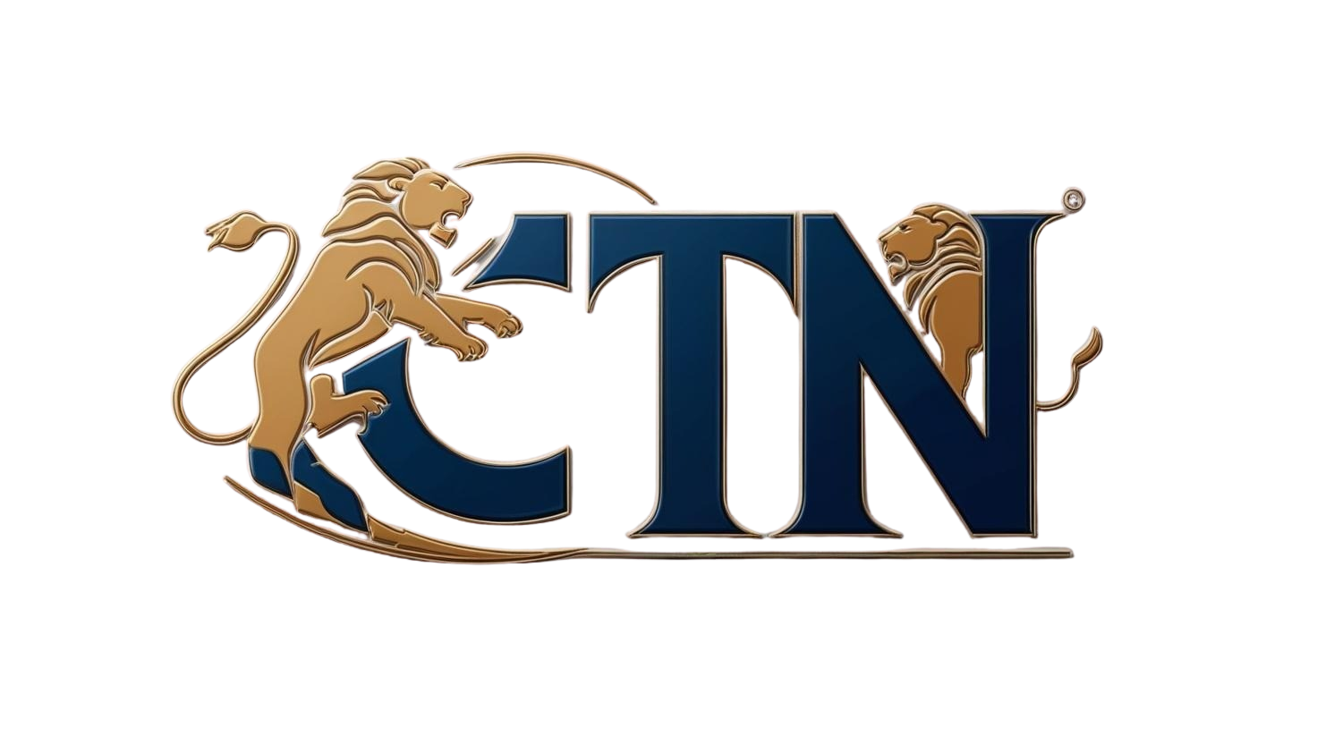 CTN Hukuk Logo